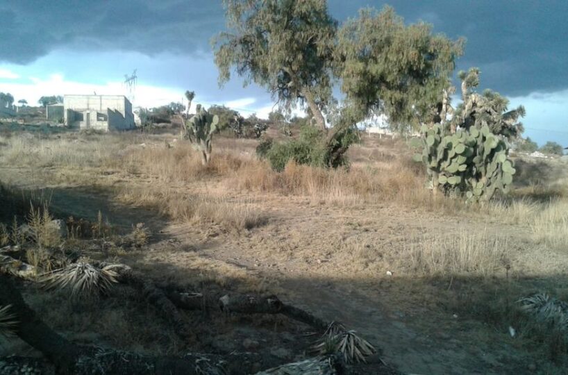 SE VENDE TERRENO RUSTICO DE 200 M2 EN MATILDE Pachuca