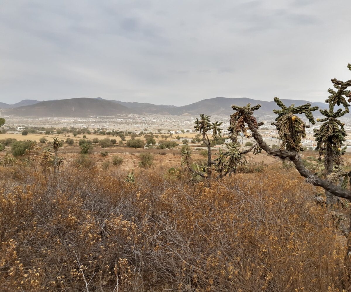 Terreno en San Pedro Nopancalco en facilidades de pago o contado Lotes y terrenos en Pachuca