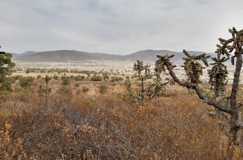 Terreno en San Pedro Nopancalco en facilidades de pago o contado Lotes y terrenos en Pachuca