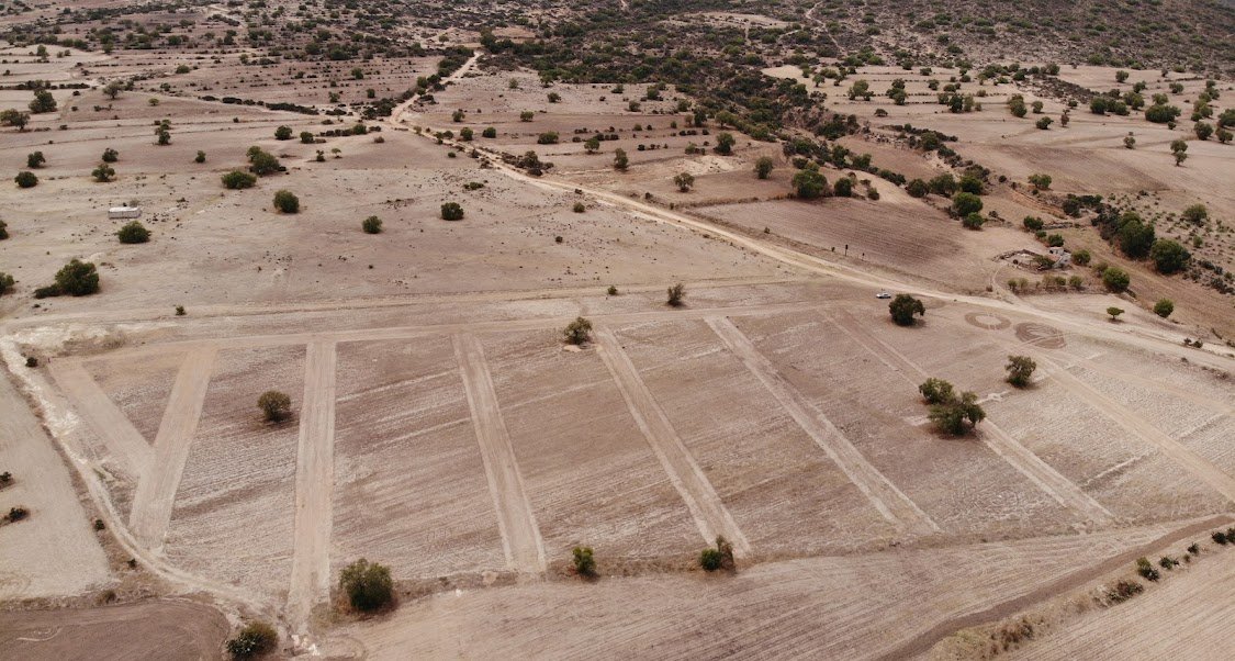 Terrenos Acayuca